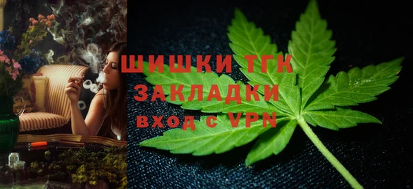 прущие грибы Зеленодольск
