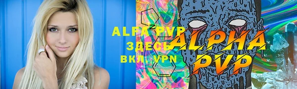 молекула духа Инта