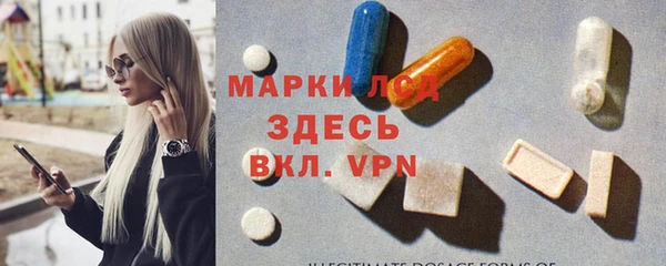 прущие грибы Зеленодольск