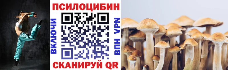 Купить  Злынка  Галлюциногенные грибы прущие грибы 